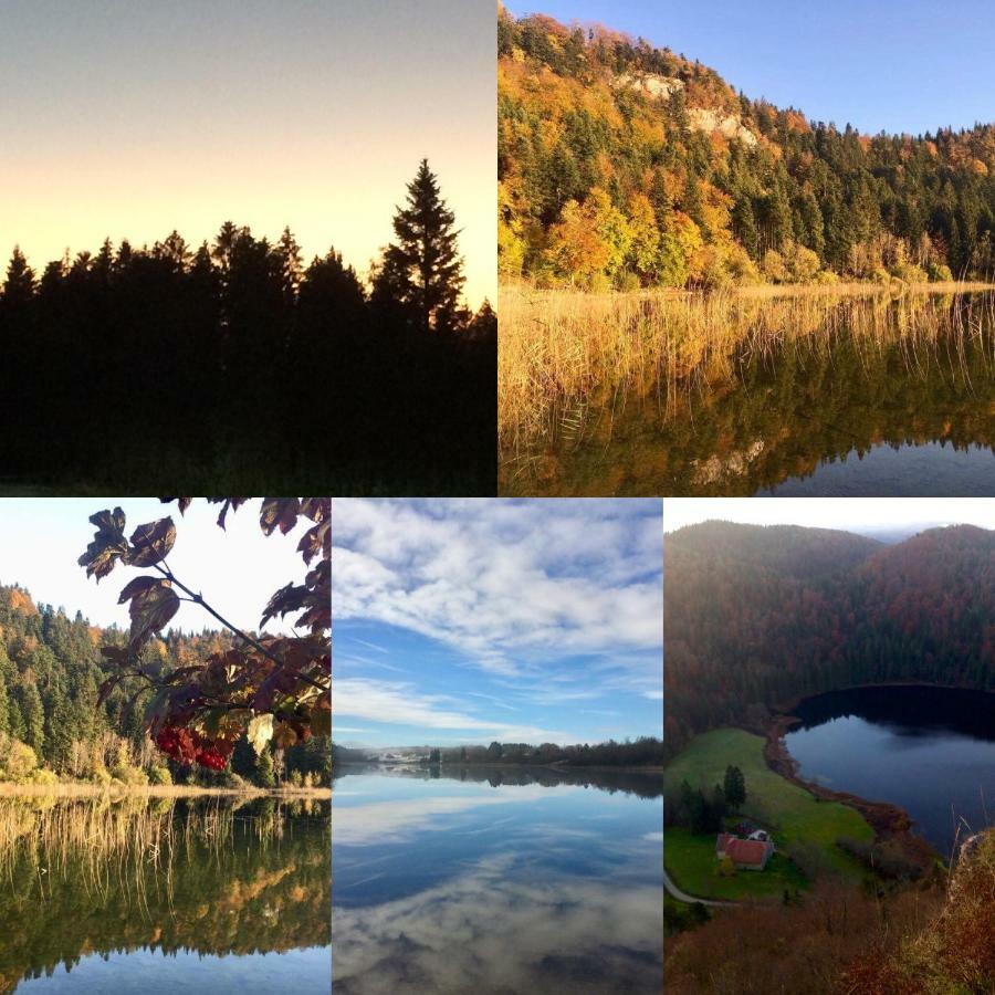 Gite Des Lacs Jumeaux Clairvaux-les-Lacs Dış mekan fotoğraf